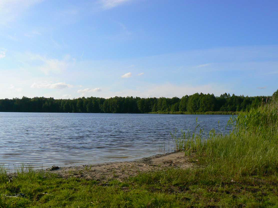 Талдом городское озеро