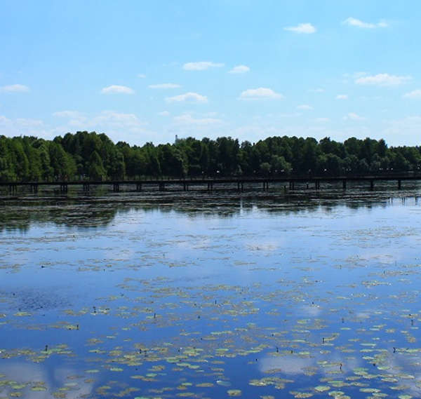 Озеро Введенское или Вятское