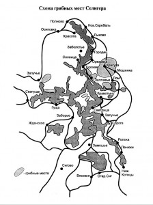 Схема грибных мест Селигера