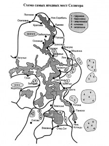 Схема ягодных мест Селигера